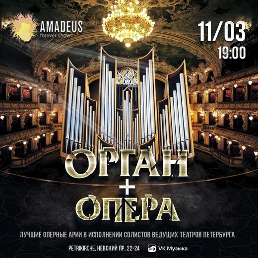 В кафедральном соборе Petrikirche - пройдет необычный концерт «Орган + Опера»