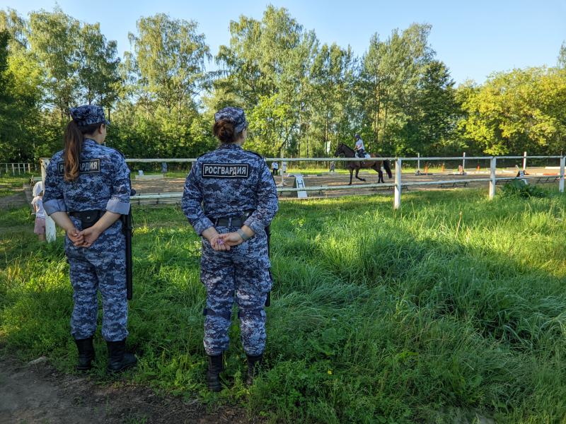 Финал Открытого Кубка по конному спорту