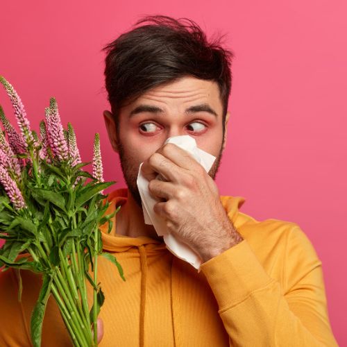 Не дарите аллергикам цветы: Доктор Кутушов об опасных букетах